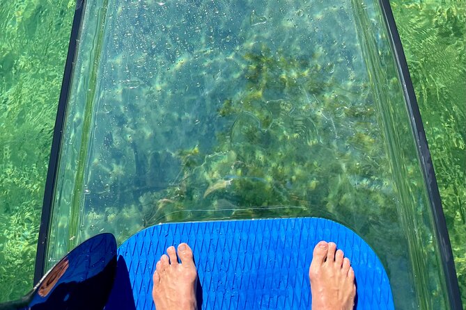 Weeki Wachee Clear Paddle Board Ecotours - Customer Reviews and Experiences