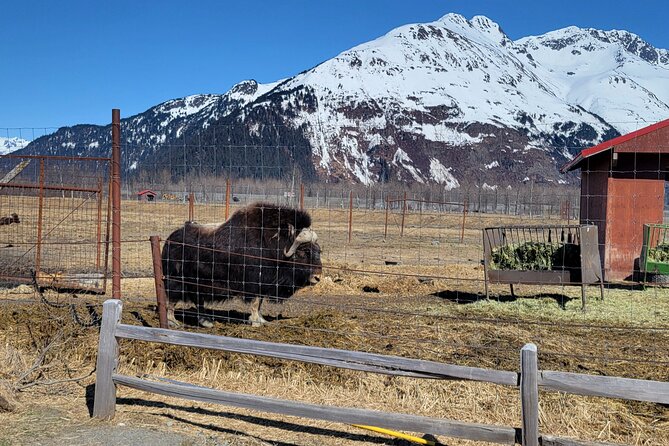 Wildlife Center With Lunch & Local Beer Sampling - Winter&Summer - Customer Feedback