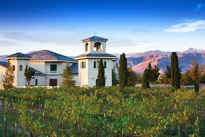 Wine Tasting Tour From Las Vegas With Snacks - Charcuterie Board and Snacks