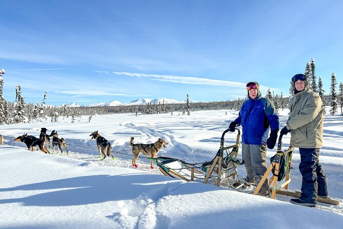 Winter Dog Sled Tour: Day or Night. - Why Choose a Private Tour?