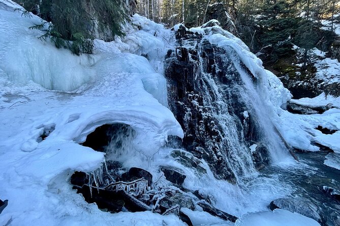 Winter Valley and Forest Hike - Wildlife Sightings and Natural Features