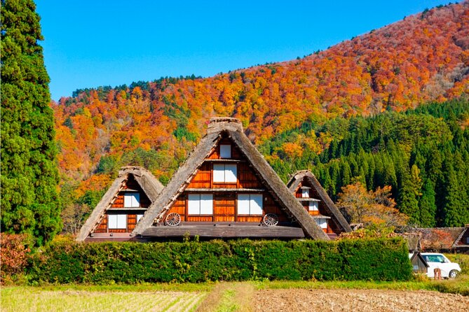 World Heritage Shirakawago and Gokayama Tour by Nohi Bus - What to Expect on the Tour