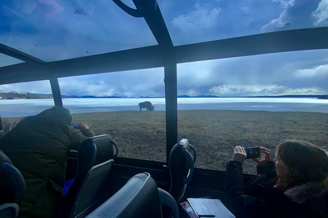 Yellowstone"Open Air" Glass Top Convertible Van West Yellowstone - Tips for a Great Tour Experience