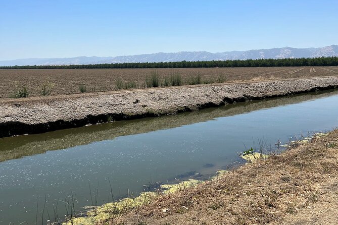 Yolo County Explorer: Culinary & Cultural Audio Tour - Reviews and Feedback