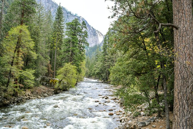 Yosemite Adventure: Full-Day Private Tour From San Francisco - Tips for a Memorable Experience