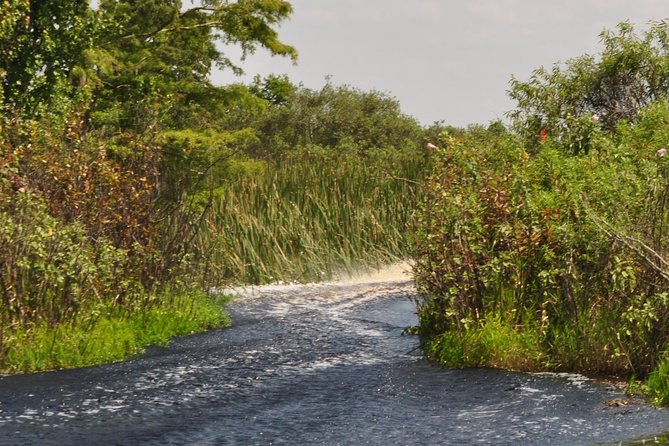 1 Hour Everglades Airboat Tour Central Florida - Customer Testimonials