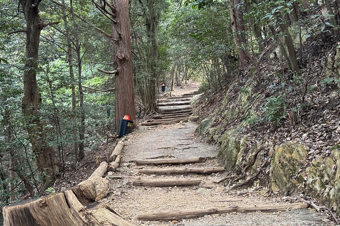 2 Hour Private Scenic Mountain Castle Tour in Gifu - Cultural Immersion