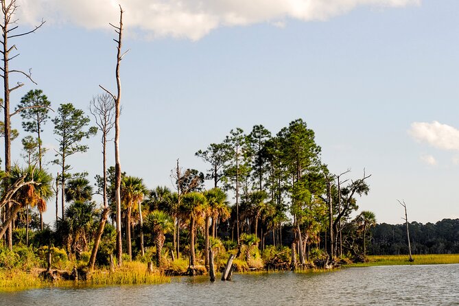 2 Hours Dolphin Eco Tour - Amenities and Refreshments