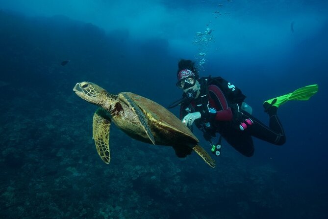 2-Tank Maui Turtle Scuba Dive or Snorkel Boat Tour - Guest Reviews and Ratings
