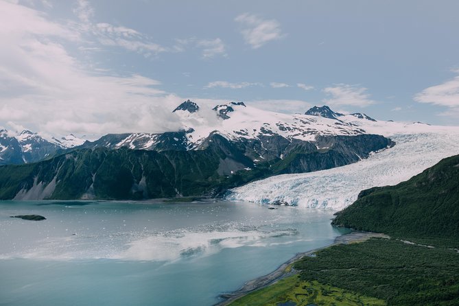 Bear Glacier Scenic Signature Flight - Booking and Contact Information