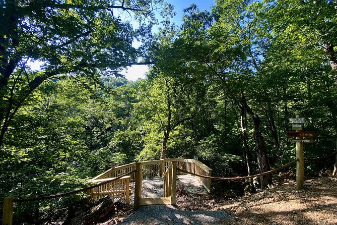 Branson Cart Adventures - Host Engagement and Improvements