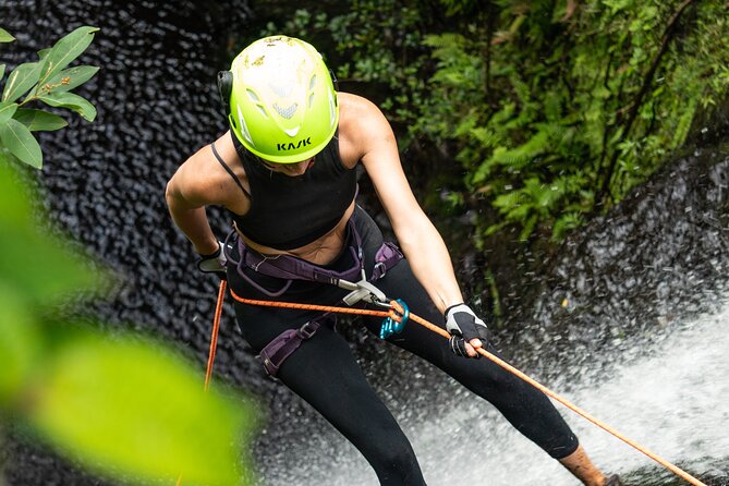 Chasing Waterfalls:Wild Hawaii Rappelling - Personal Testimonials and Experiences