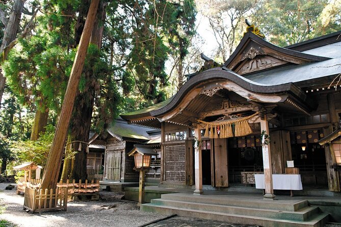 Day Trip to Mythical Takachiho From Fukuoka by Shared Mini Bus - Maximizing Your Day Trip Experience