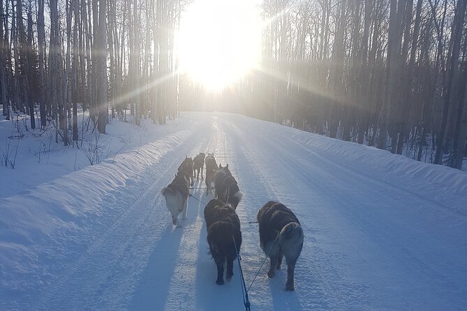 Dog Sled Adventure - A Bucket List Adventure