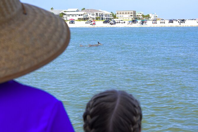 Dolphin Watch & Historical Harbor Tour in St. Augustine - Planning Your Visit