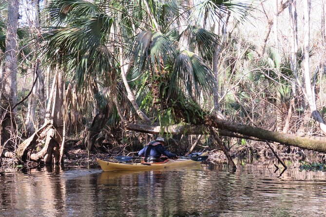 Exclusive Nature Escape Kayak Adventure on Blackwater Creek - Cancellation Policy and Pricing