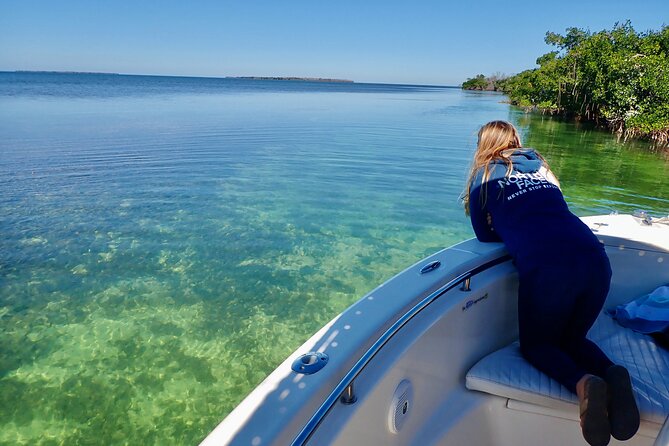 Florida Keys Backcountry Eco Tour From Big Pine Key - The Sum Up