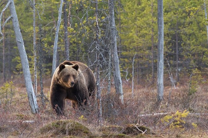 Grand Teton and Its Wildlife: Private Guided Tour - Flexible Cancellation Policy for Peace of Mind