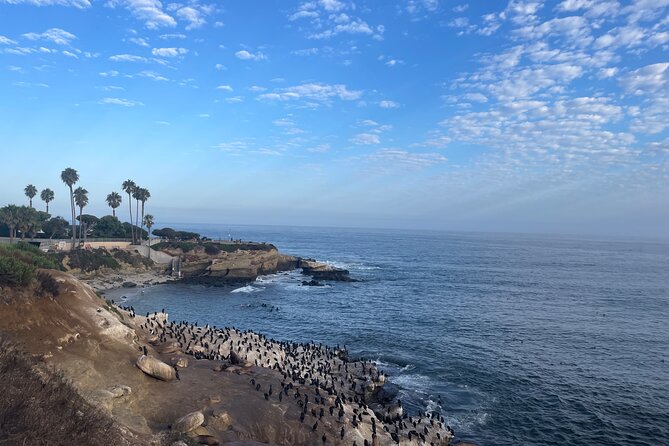 Guided Historic La Jolla Village Walking Tour - Booking and Cancellation Policy