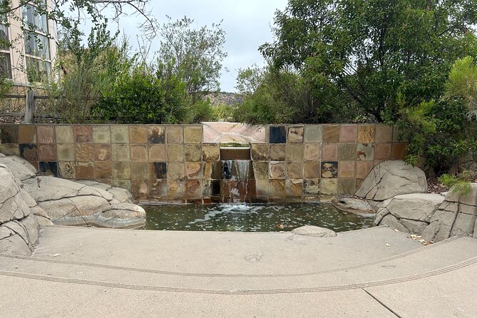 Guided Meditation and Mountain Hike Tour in San Diego - Why Choose This Unique Tour