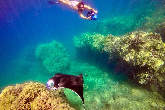 Guided Turtle Town Snorkel Tour With Sea Scooter - Makena - Customer Feedback and Experiences
