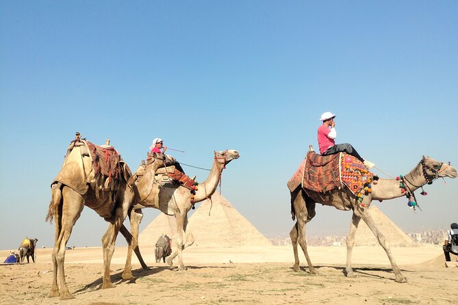 Half Day Giza Pyramids and Sphinx Tour With an Egyptologist - Insights From the Egyptologist