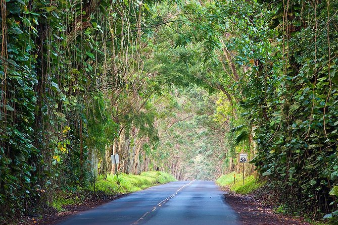 Kauai Highlights-Small Group Tour-A Taste of the South + West - Traveler Feedback