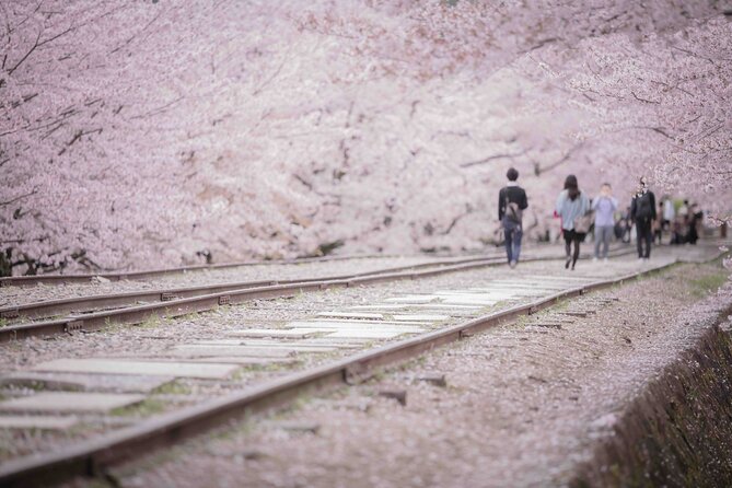 Kyoto Hihashiyama E-Bike Tour *Private, Pick up From/To Hotel - Additional Information