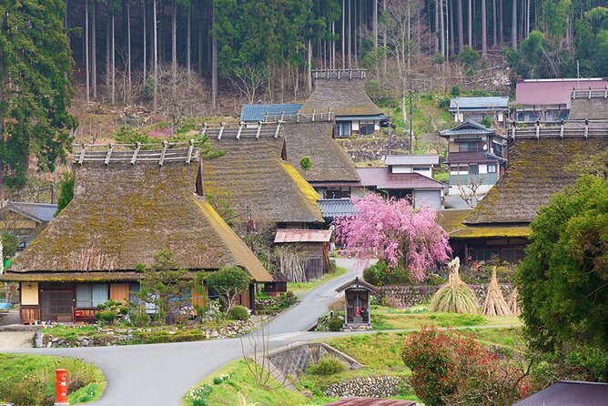 Kyoto Ine Bay, Amanohashidate and Miyama Village Tour From Osaka - What to Expect on the Tour