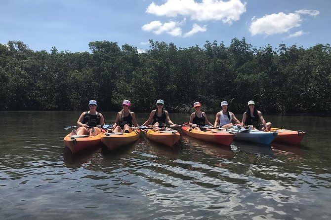 Mangrove Tunnels Pedal Kayak Eco-Tour in Anna Maria - Customer Praise and Satisfaction