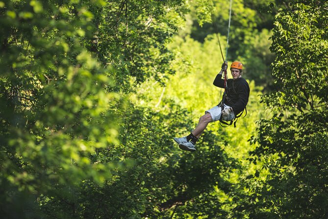 Minnesota River Valley 14-Line Thrilling Zipline Canopy Tour - Additional Information