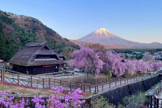 Mount Fuji Four Iconic Scenic Spots Day Tour From Tokyo - Important Notes