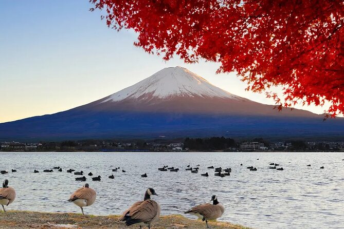 Mt Fuji and Hakone One Day Tour Departure From Tokyo With Lunch - Important Information and Policies