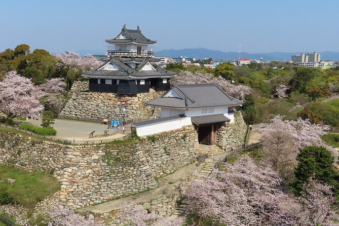 Nagoya Airport to Hamamatsu Shizuoka Japan Private Transfer - Flexible Customization Options