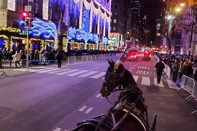 New York City Christmas Lights Private Horse Carriage Ride - Personalized Experiences