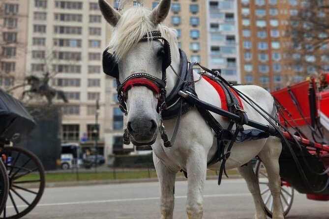 NYC Horse and Carriage Central Park Tours - What to Expect on the Tour