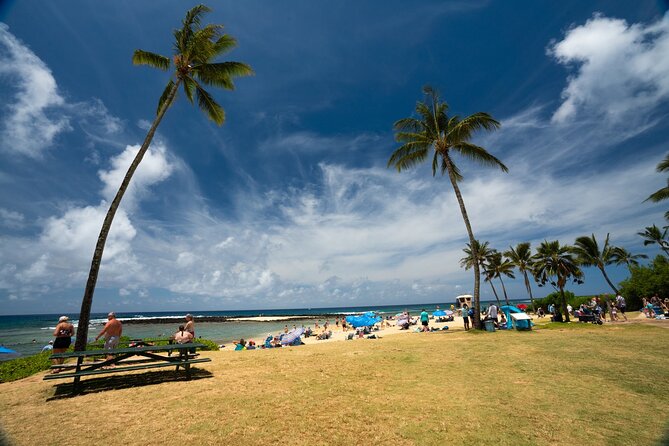 Opaekaa Falls, Spouting Horn, Poipu Beach - Starting Your Adventure