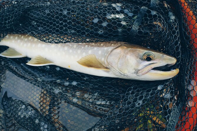 Private Hokkaido Fishing Tour With a Licensed Fisherman - Additional Tour Information and Booking Details