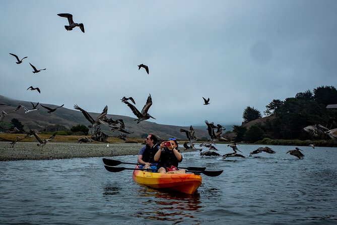 Russian River Kayak Tour at the Beautiful Sonoma Coast - Preparing for Your Kayak Adventure