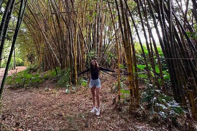 Small Group Full Day Road to Hana Adventure - The Sum Up