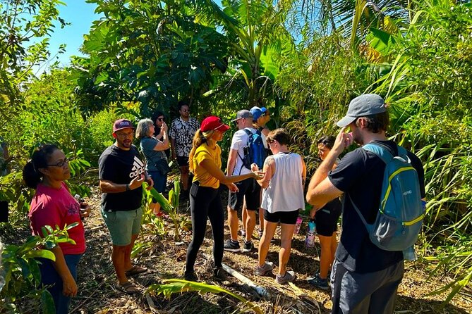 Taste of Hawaii: A Maui Farm Tour - Tasting the Freshness of Hawaii