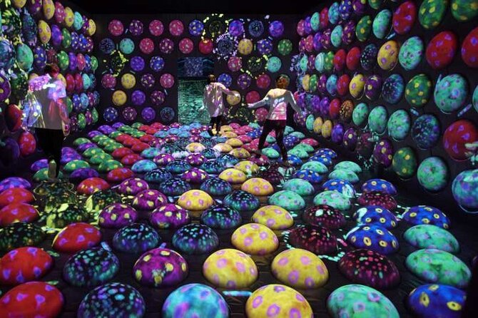 Teamlab Forest Fukuoka an Immersive Art Experience Ticket - Highlights of the Immersive Art Experience