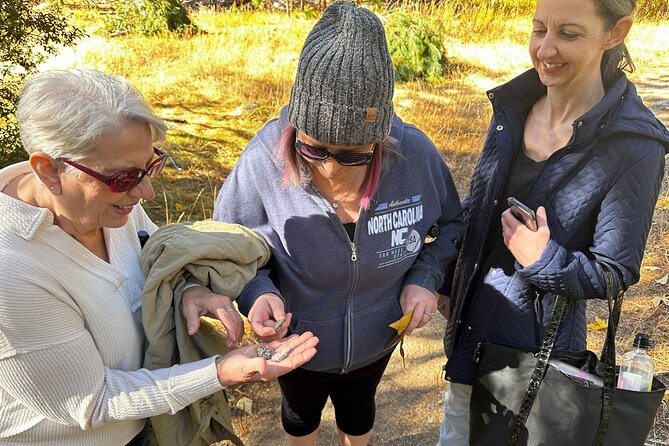 The Evolution of Yosemite 3 Hour Hiking Tour - The Sum Up