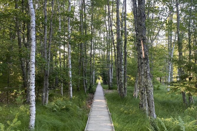 The Way Life Should Be: 4-hr, Private Guided Tour of Acadia NP. - Booking Your Adventure