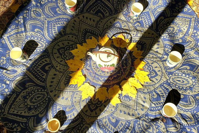 Transformative Forest Immersion: A Mindful Journey for Inner Calm - How to Prepare for Your Forest Immersion