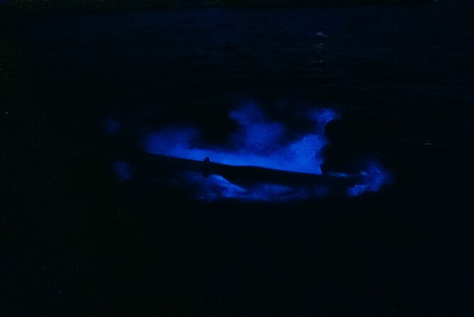 Wildlife Refuge Bioluminescent Kayak or Paddleboard Tour! - Booking Information