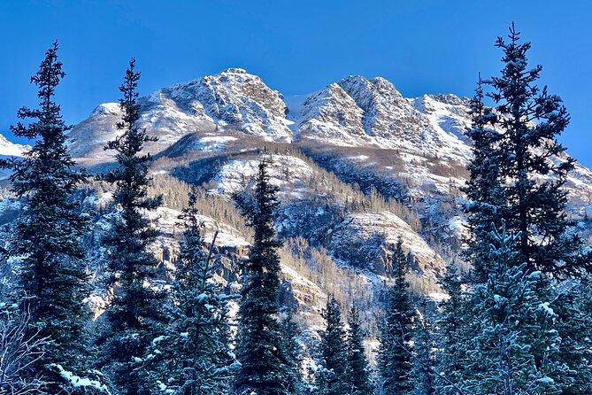 Winter Valley and Forest Hike - Tips for a Successful Hiking Experience
