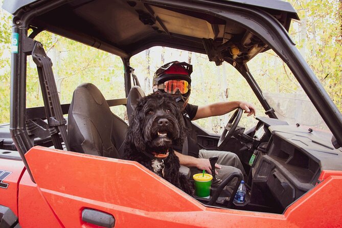 Woodland Park: 4-Hour Self-Guided Rocky Mountain Polaris UTV Tour - Tips for an Unforgettable Adventure