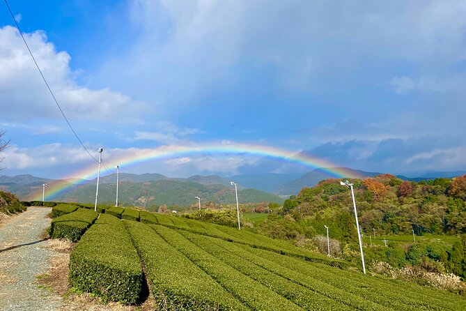 YokaBus Heritage in a Cup of a Yame Tea & Sake Tasting Expedition - Tour Schedule and Potential Changes