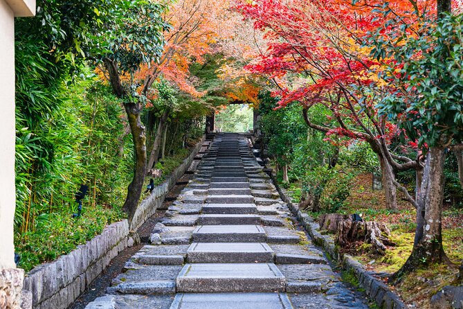 A Tour to Explore Kyotos Autumn Foliage at Kiyomizu-dera Temple - Good To Know